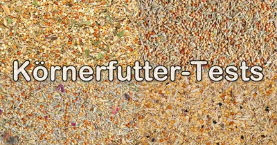Test-Körnerfutter Tests von Körnerfutter für Wellensittiche