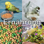 Ernährung Informationen zur Ernährung