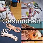 Gesundheit Alles zur Gesundheit von Wellensittichen