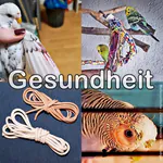 Gesundheit Alles zur Gesundheit von Wellensittichen