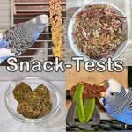 Tests von Snacks für Wellensittiche