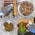 Tests von Snacks für Wellensittiche