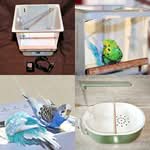 Test-Vogelduschen Tests von Vogelduschen für Wellensittiche