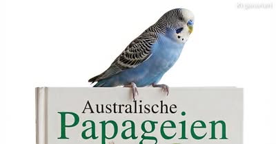 Literaturverzeichnis von Welli@Home