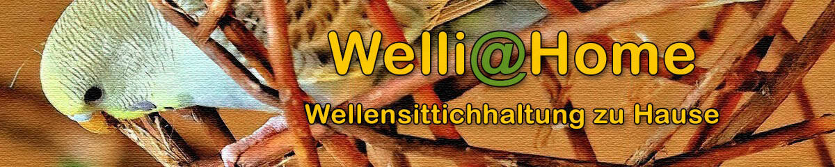 Welli@Home