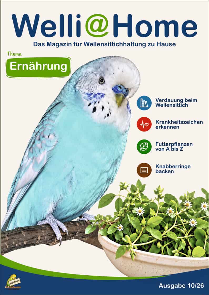 Ausgabe 10/26