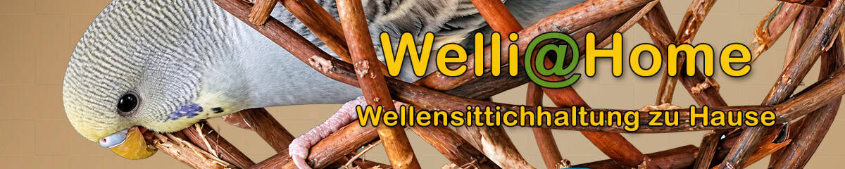 Welli@Home