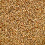 Diät spezial - Saaten