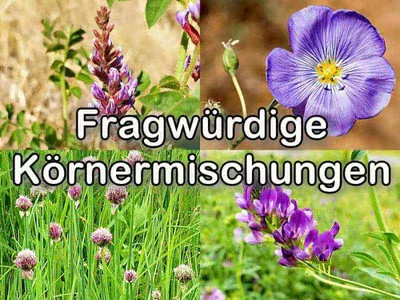 Fragwürdige Körnermischungen Fragwürdiges Futter für Wellensittiche