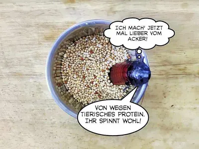 Futterschädlinge mit Sprechblase Fauchschabe mit Sprechblasen