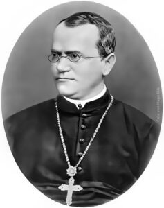 Gregor_Mendel - Hugo Iltis Gregor Mendel