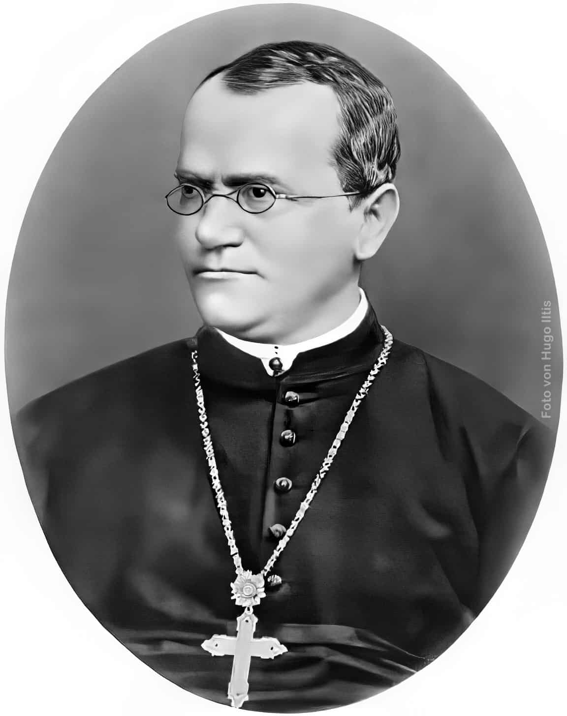 Gregor_Mendel - Hugo Iltis Gregor Mendel