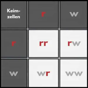 Kombi-Quadrat - Blüten Kombinationsquadrat für Blüten