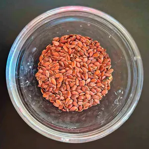 10g Leinsamen