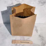 Minigarten gewässert