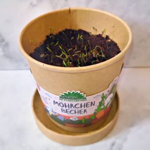 Keimlinge nach 10 Tagen