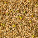 Wie in der Pampa - Saaten