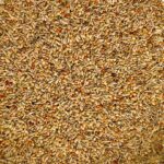 Premium Australien - Saaten