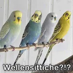 Gastbeitrag: Vor der Anschaffung