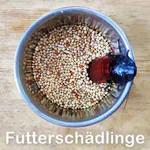 Futterschädlinge im Futter von Wellensittichen