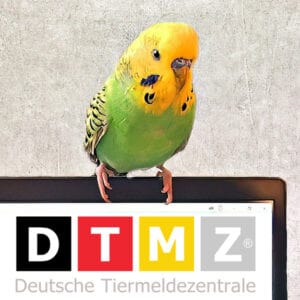 DTMZ
