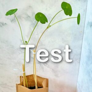 Tests von Frischfutter