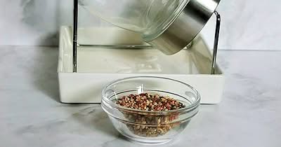 Keimfutter Keimglas und Keimfutter