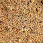 Welli-Edition - Saaten Zusammensetzung Welli-Edition