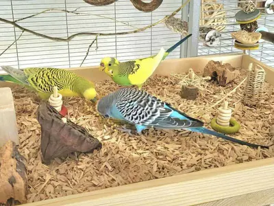 Spielplatz und Wühlkiste